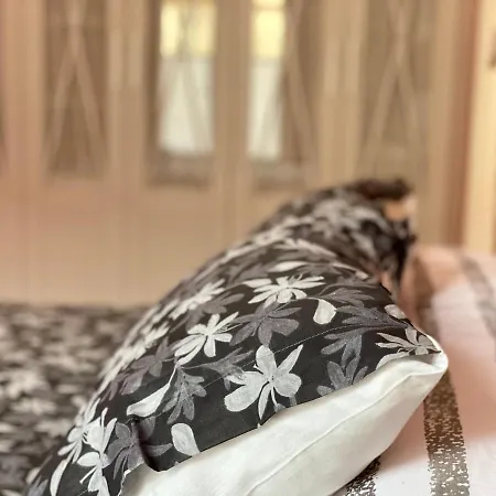 Apartment Housingleon- Barrio Humedo Leon