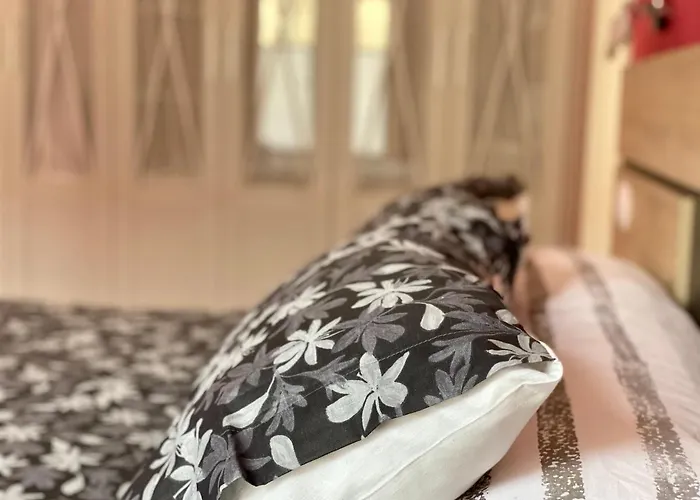 Apartman Housingleon- Barrio Humedo León